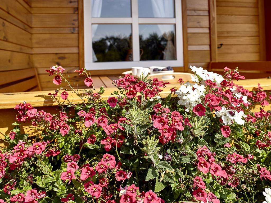Holiday Homes Vita Natura Rakovica Exterior foto