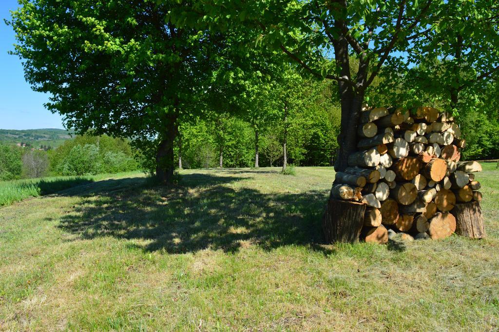 Holiday Homes Vita Natura Rakovica Exterior foto